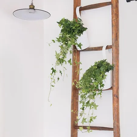 Belvedere Cozy Apartamento *